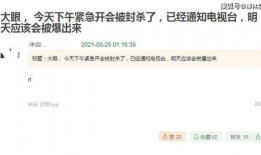 明星用大号吃瓜爆料文件,吃瓜爆料文件背后的娱乐圈真相