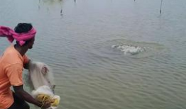 钓鱼视频,揭秘钓鱼视频中的精彩瞬间