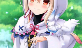 动漫萝莉,探寻动漫世界中的青春魅力